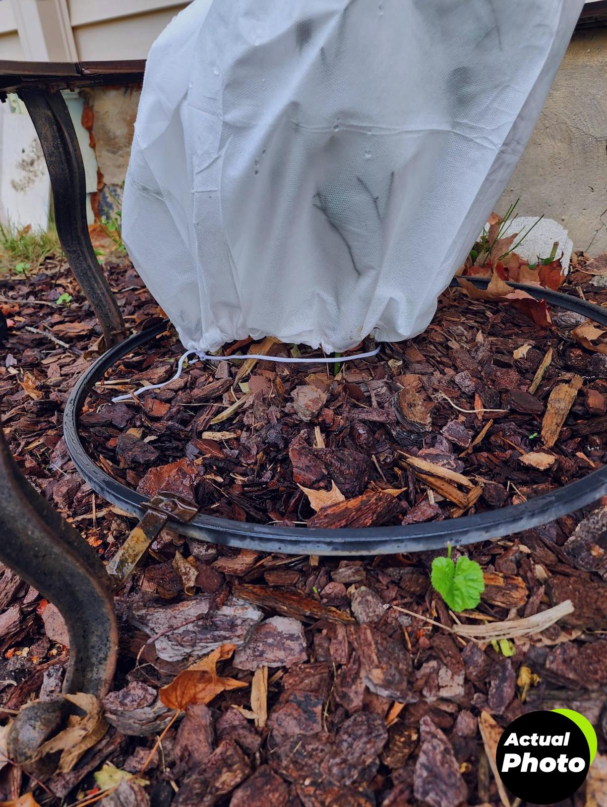 svepndic-winter-plant-covers-4-pcs-foto-3