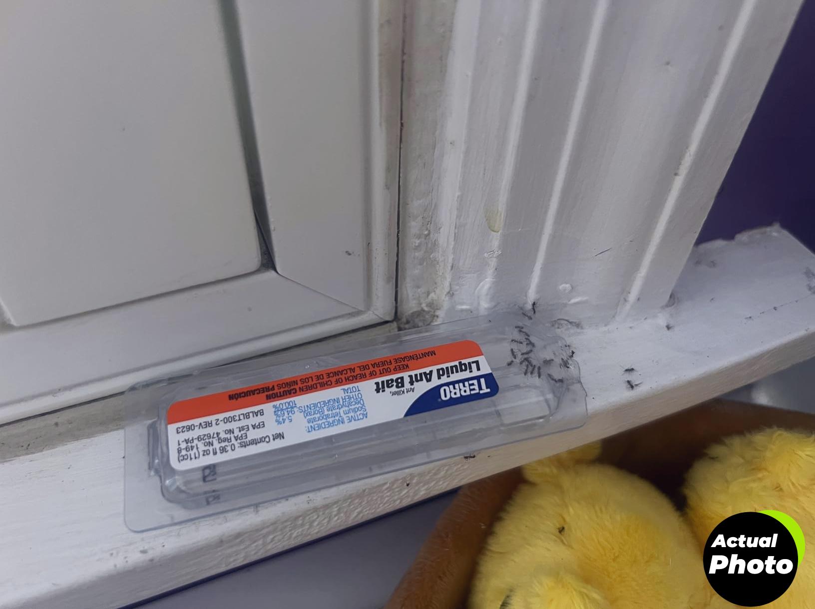 terro-ant-bait-12-count-foto-3