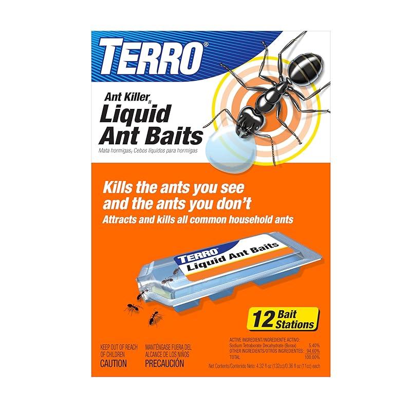 Effective Solution for Ants: My Take on TERRO Ant Bait Stations