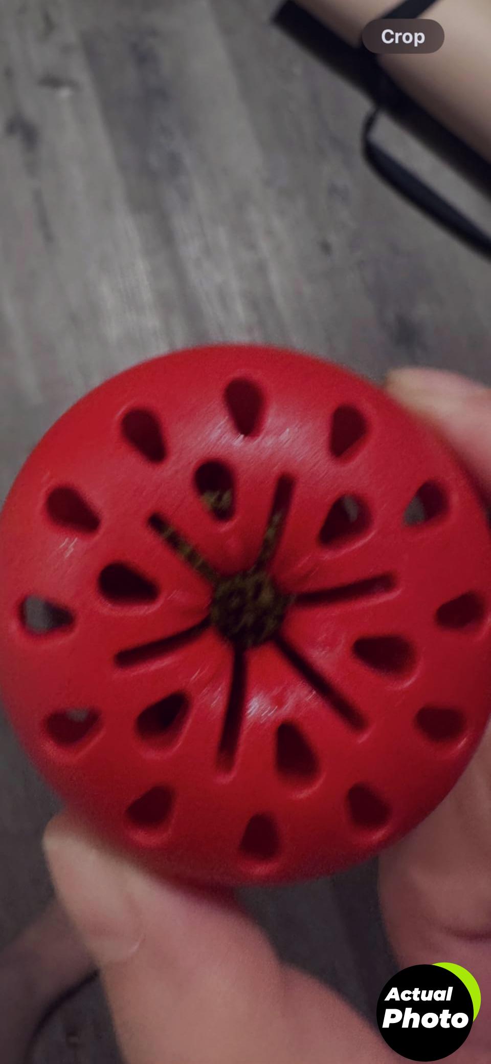 terro-fruit-fly-trap-indoor-4pack-foto-1