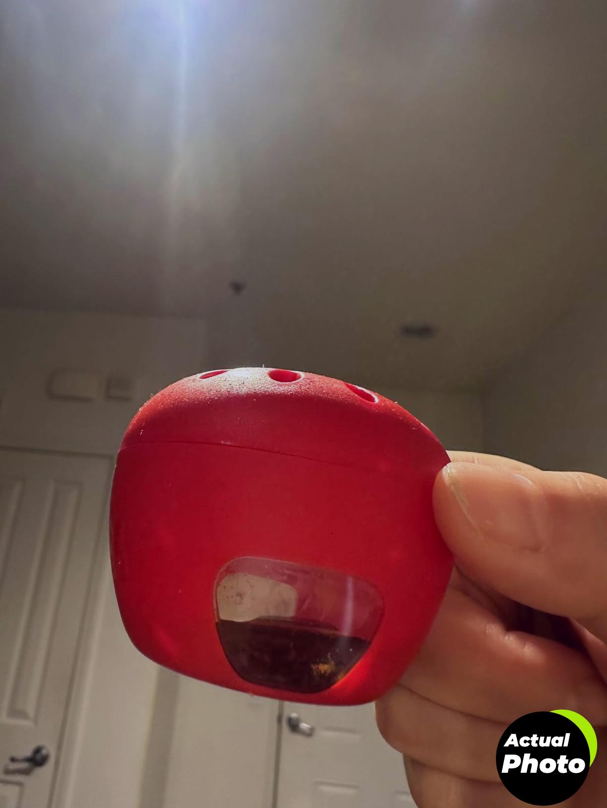 terro-fruit-fly-trap-indoor-4pack-foto-2