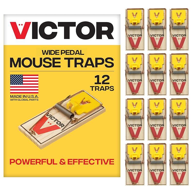 My Take on the Victor Mouse Traps Pack: Are They Effective?