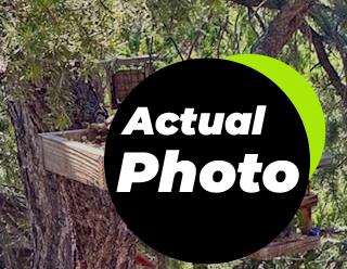 wagners-safflower-seed-bird-food-57075-foto-2