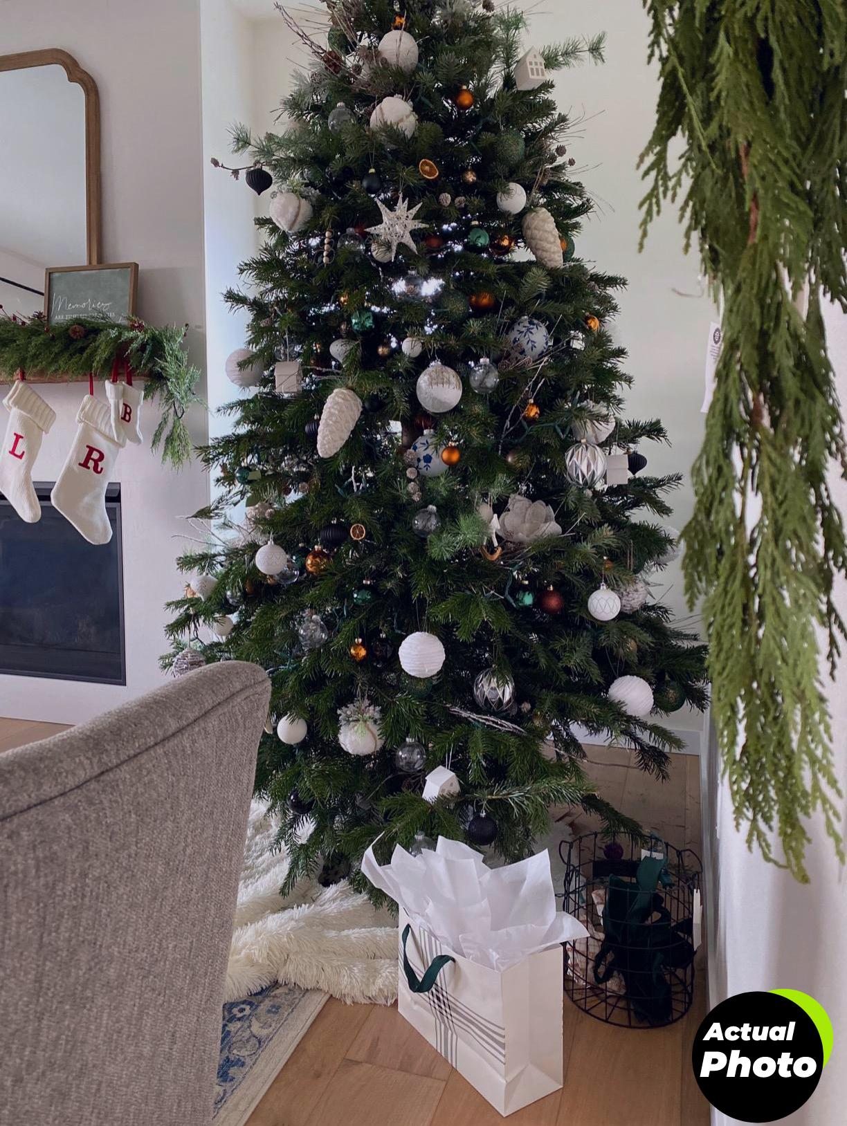 wilt-pruf-winter-plant-spray-32oz-foto-1