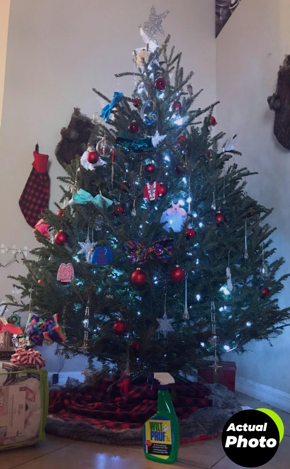 wilt-pruf-winter-plant-spray-32oz-foto-2