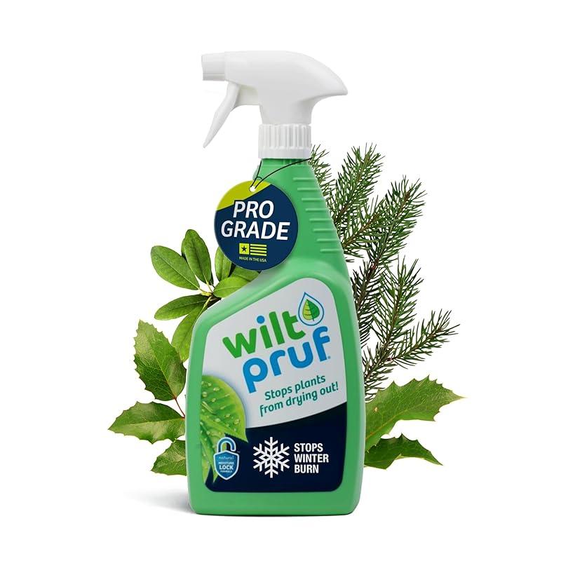 Effective winter protection with Wilt-Pruf spray for plants!