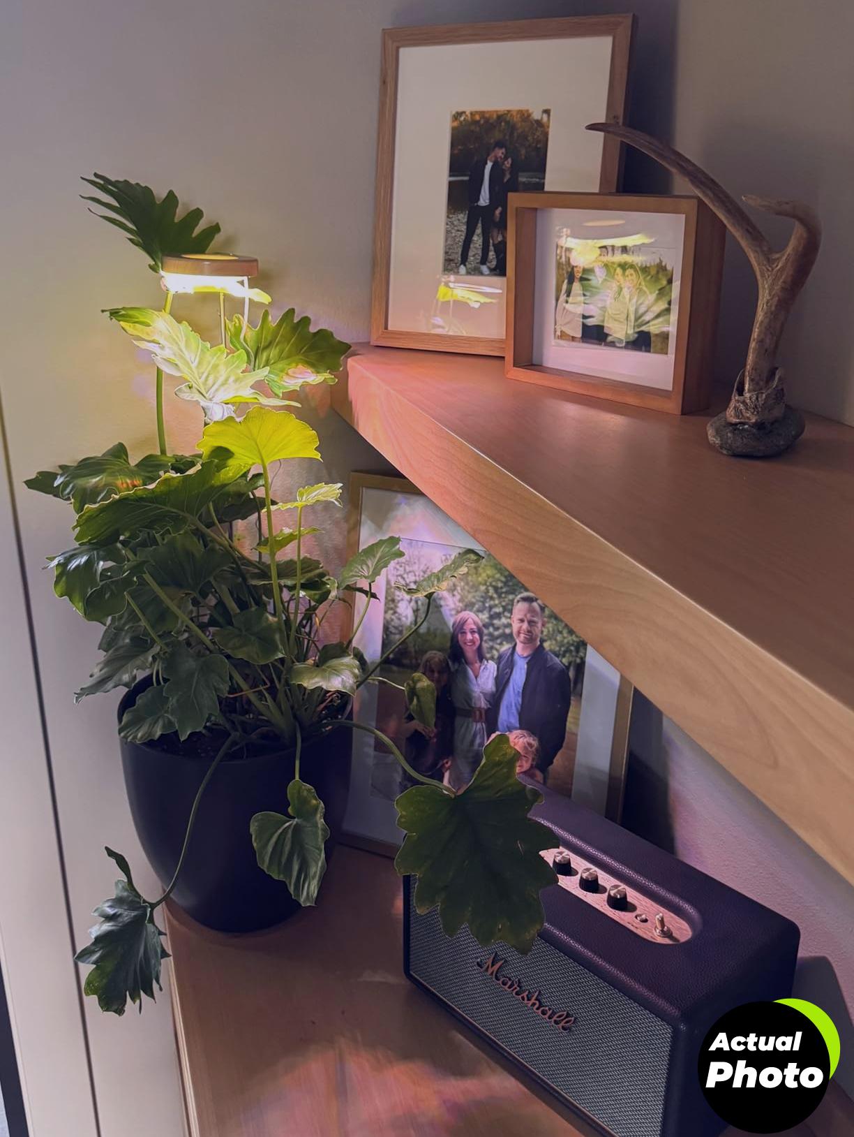 yadoker-grow-light-indoor-plant-1-foto-2