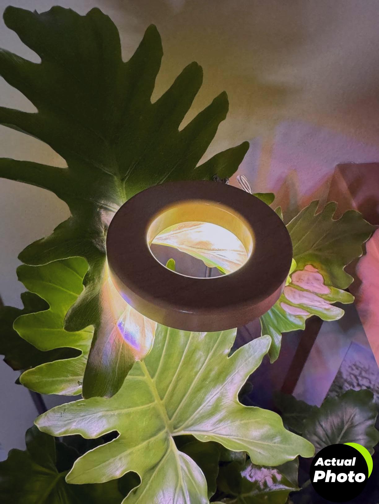 yadoker-grow-light-indoor-plant-1-foto-3