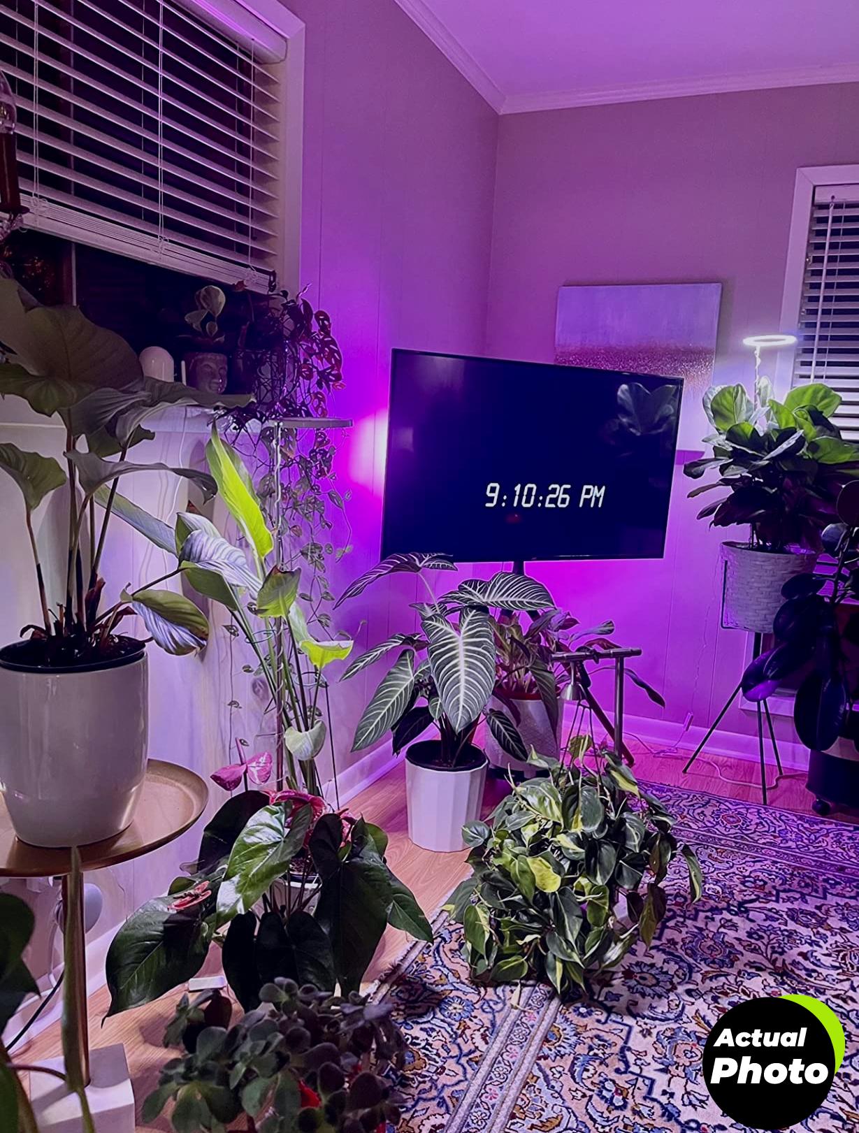 yadoker-plant-grow-light-2023-foto-3
