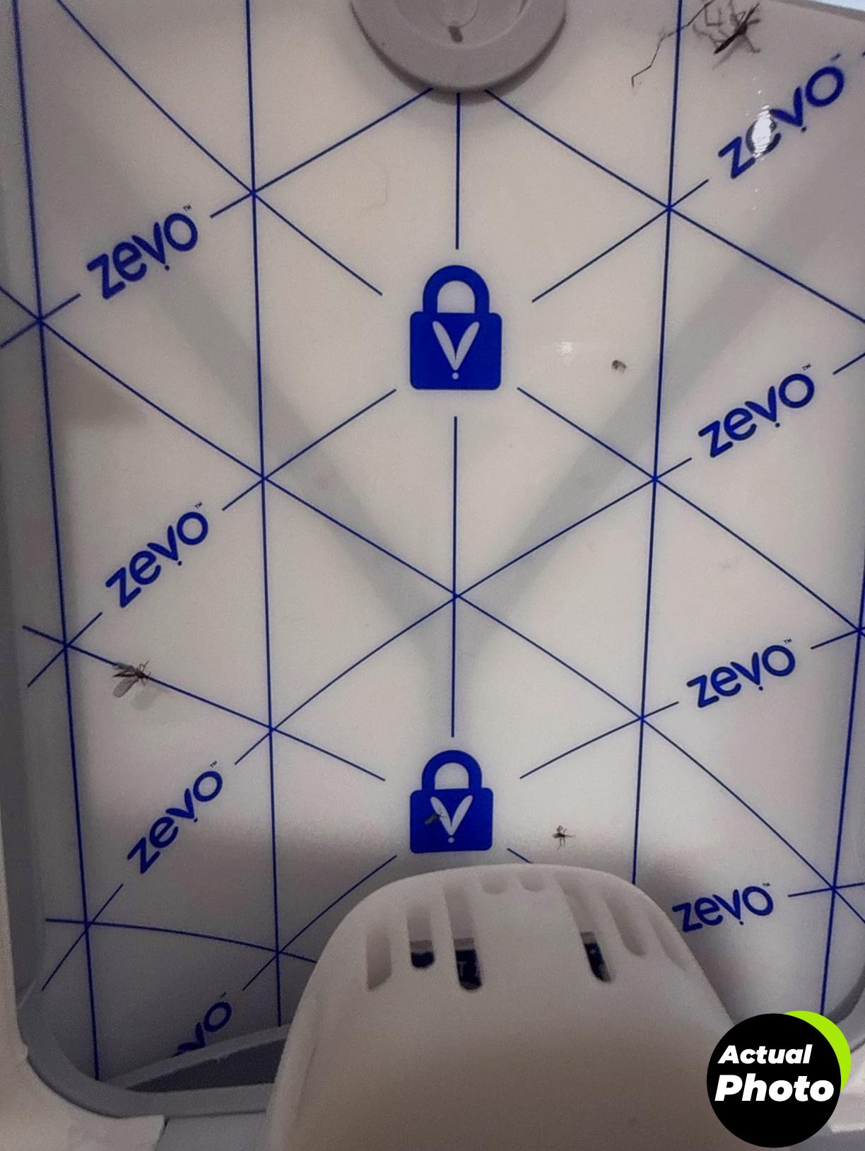 zevo-fly-trap-kit-blue-uv-light-foto-2