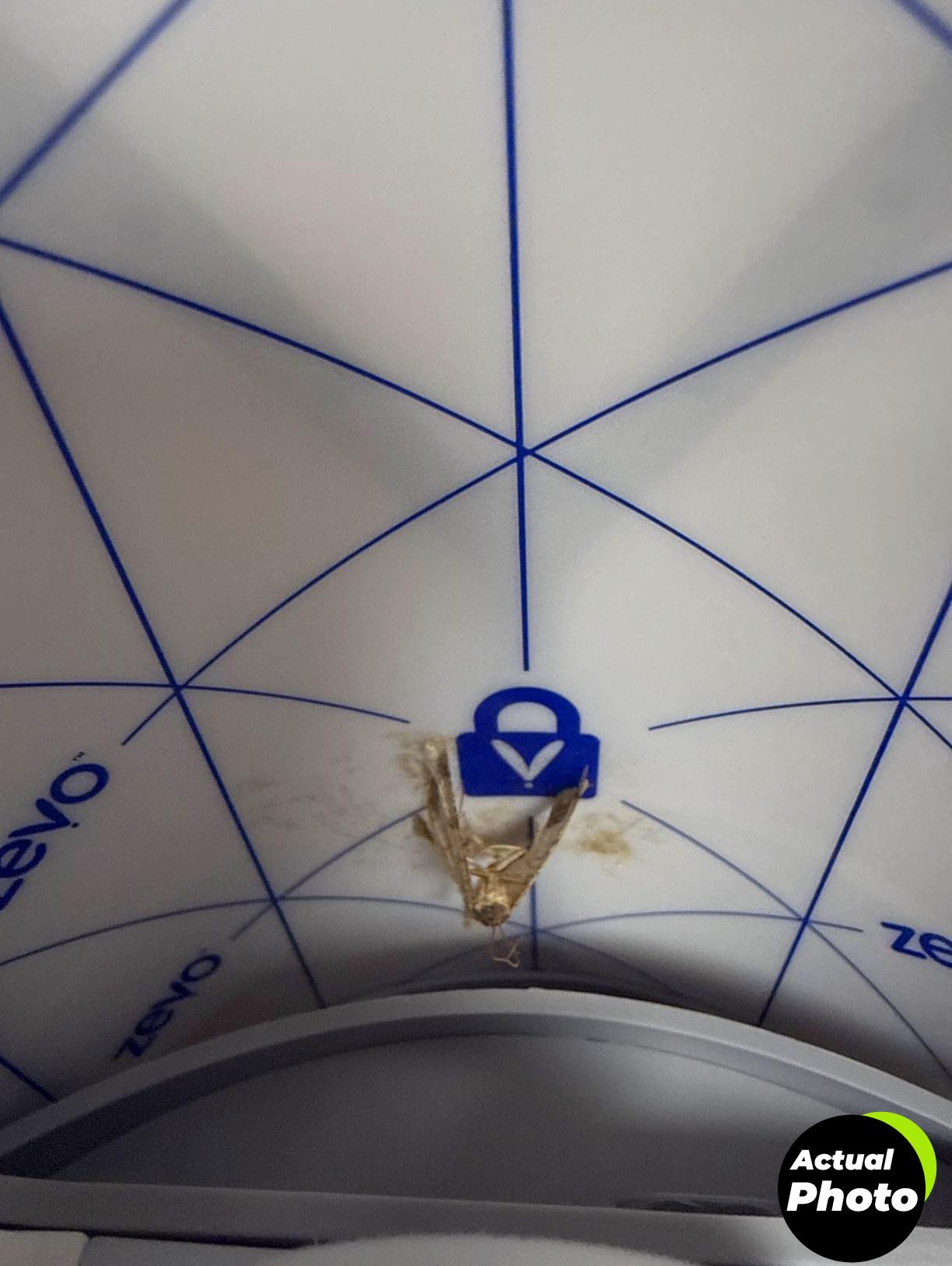 zevo-fly-trap-kit-blue-uv-light-foto-3